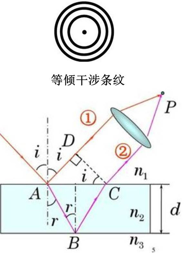 圖4：水凝膠薄膜的原位干涉測量示意圖